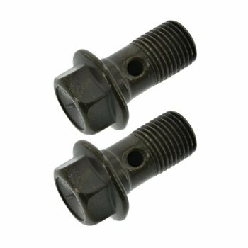 Paar Hohlschrauben zur Bremsleitung - M10x1, Länge 19 mm, SW12