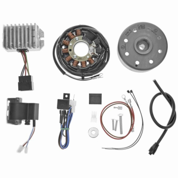 Lichtmagnetzündanlage 12V 100W mit integrierter vollelektronischer Zündung für RT125