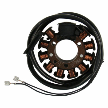 Stator 6V A-A69S-21 Powerdynamo - pass. für AWO, nur Lichtmaschine