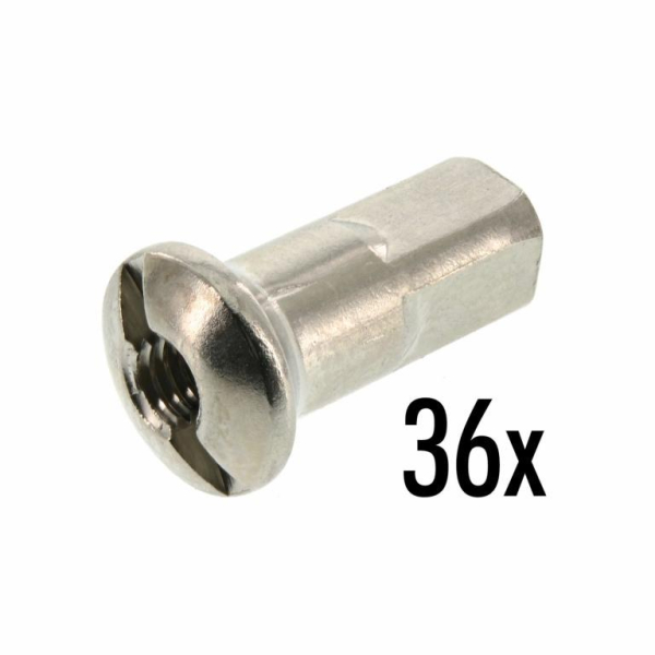 Speichennippel - SET - M4, 36x, vernickelt, Edelstahllook