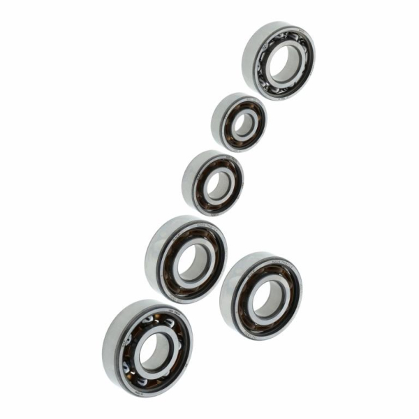 Kugellager SET SKF - für Motor MM125/1/2, 150/1/2 - 6-teilig