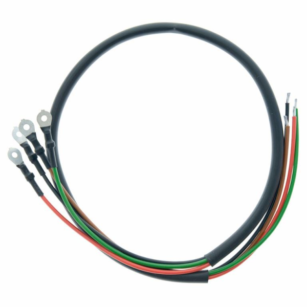 Lichtmaschinenkabelbaum - Maschinenkabel zwischen Lichtmaschine und Regler - RT125 1/2/3