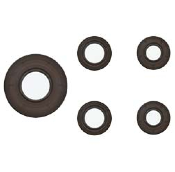 Set Wellendichtring NJK FPM braun, Staublippe, 5 Stück - f. SR4-1 mit M52 KH-Motor